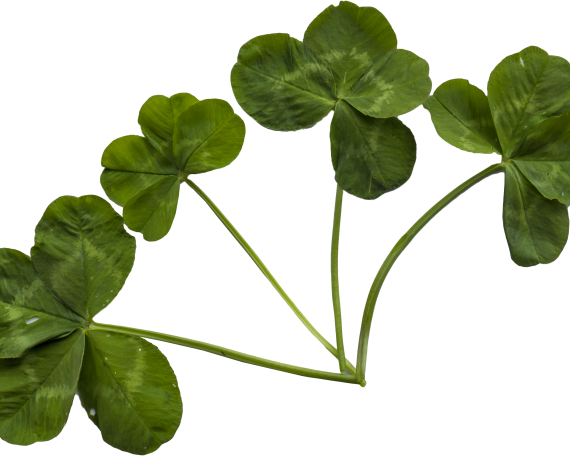 ce înseamnă să fiu bine