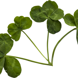 Ce inseamna „Sa fiu bine”