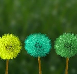 Creierul detesta schimbarea