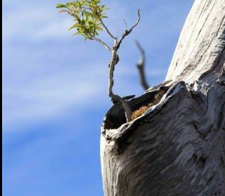 Fă lucrurile importante!