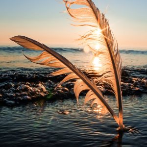 Tu ce alegi dimineața?