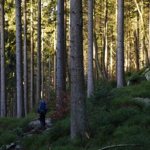 Aliniament versus ezitare, ineficacitate, tristețe