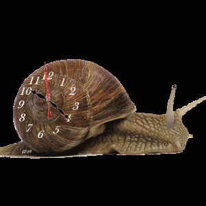 Vechiul, obișnuitul, călduțul și durerosul meu stil de viață