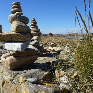 Terapie în timp real