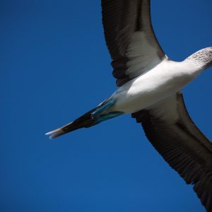 2022 fară justificări și fară văicăreală!