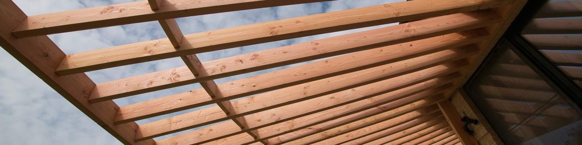 semnificatia expresiei din impas ieși prin tavan