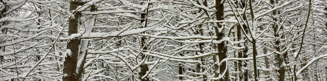 Suspinul lui decembrie – reflecție despre emoții și ritmuri interioare