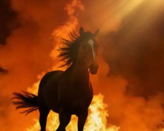 2026 Anul Calului de Foc previziuni spirituale Madezvat